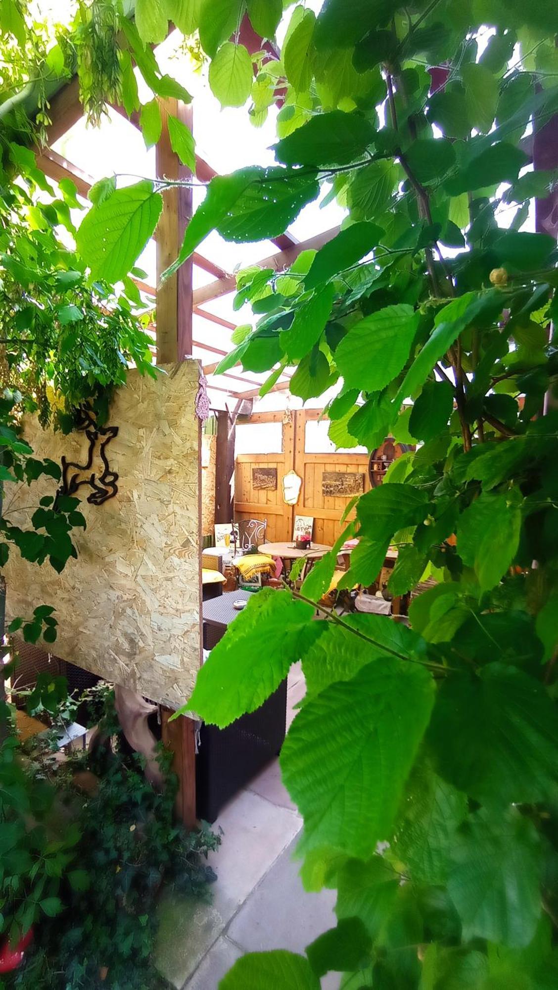 Garden Duplex Apartment Sundhoffen Екстериор снимка