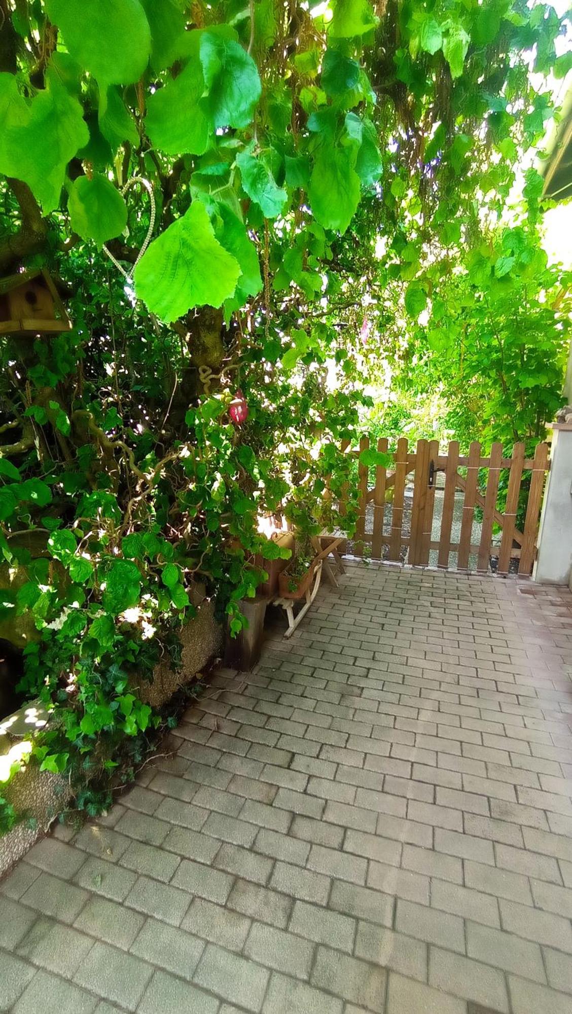 Garden Duplex Apartment Sundhoffen Екстериор снимка